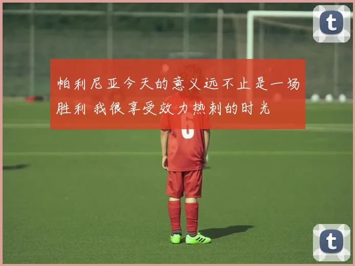帕利尼亚今天的意义远不止是一场胜利 我很享受效力热刺的时光