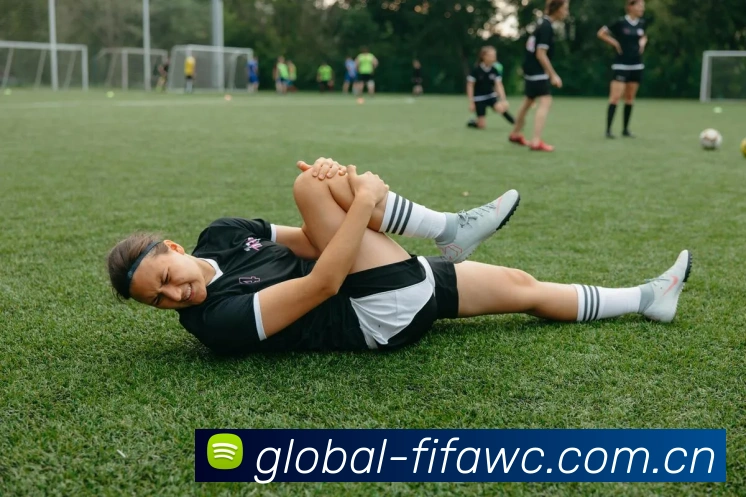 FIFA官方数据授权认证